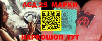 крисы Кинель