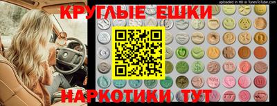 крисы Кинель